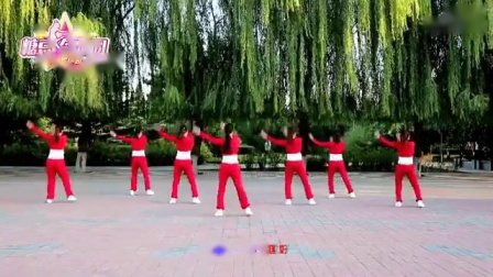 云裳广场舞最新广场舞,云裳广场舞，舞动自然，寻找内心的宁静