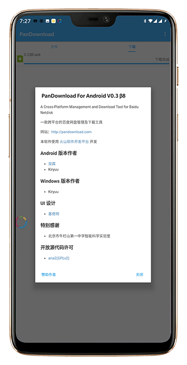 Pandownload最新版，极速下载体验与独特功能全面解析