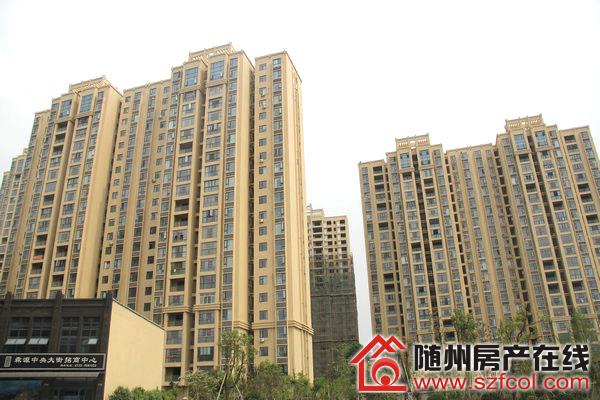 随州荣御中央最新动态，力量变革与自信学习之路