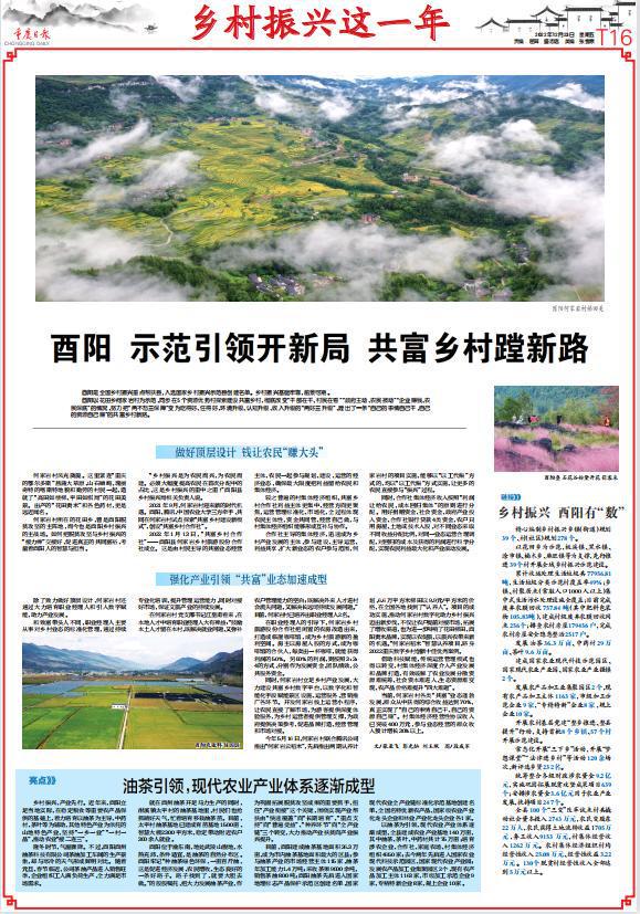 酉阳今日新闻纪实速递，最新消息一览无余