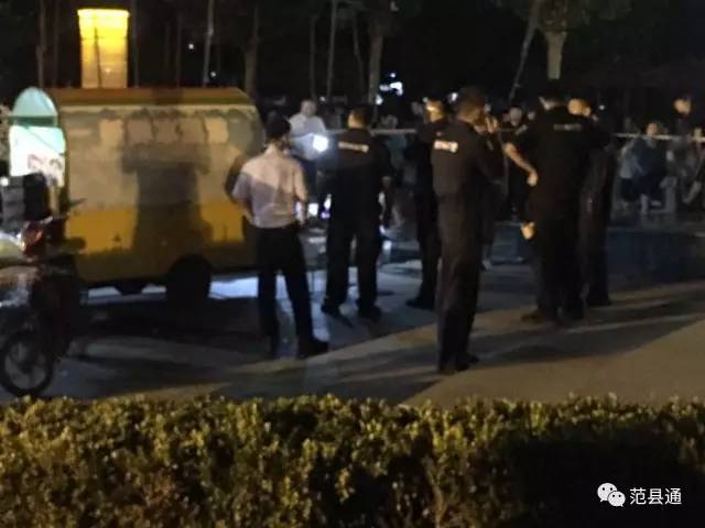 心灵与自然的奇妙之旅，揭秘最新砍人事件背后的故事