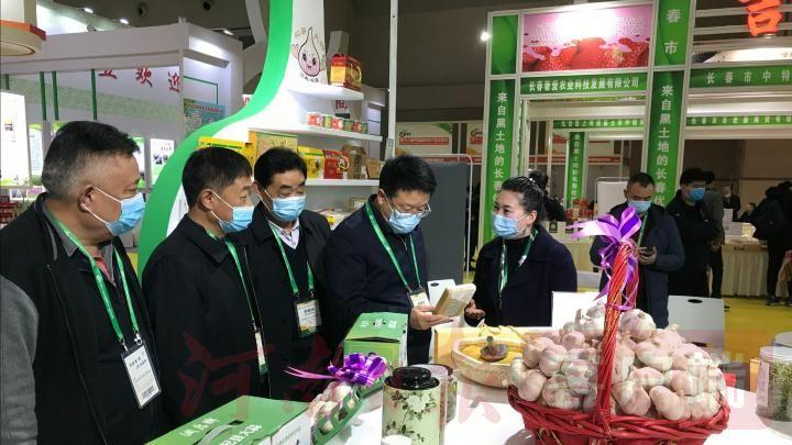 开封杞县大蒜最新行情，一颗蒜的励志故事揭秘